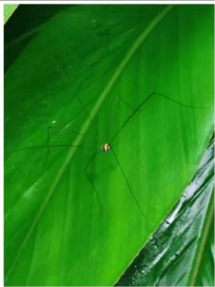 1655039616798269.png image.png