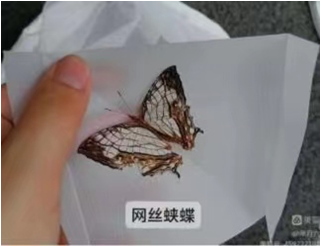 1654851733877874.png image.png