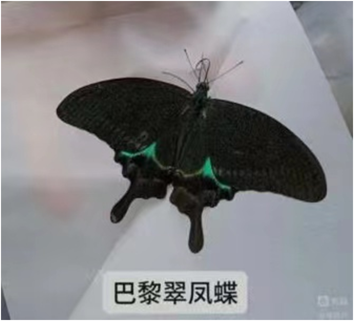 1654851716318968.png image.png