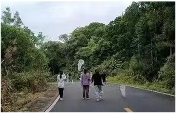 1654851592534518.png image.png