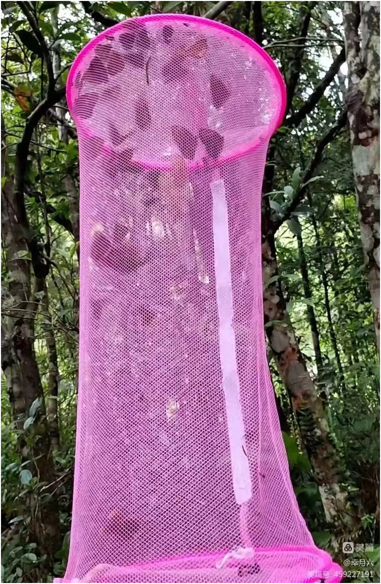 1654851699300402.png image.png