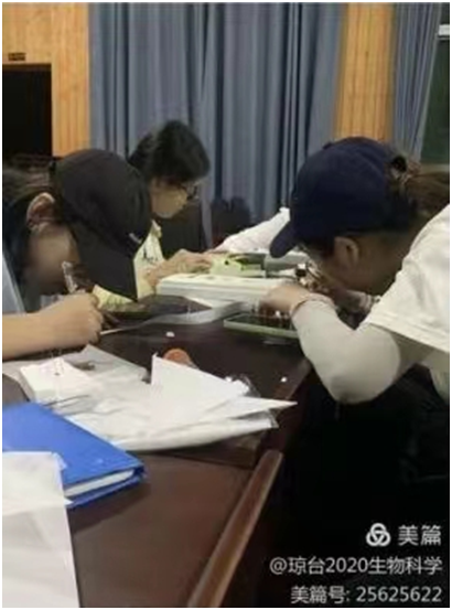 1654850237560208.png image.png