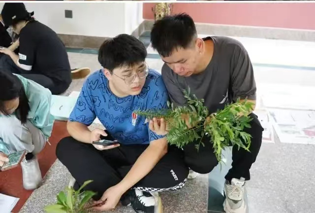 1654565868512186.png 1654565868512186.png