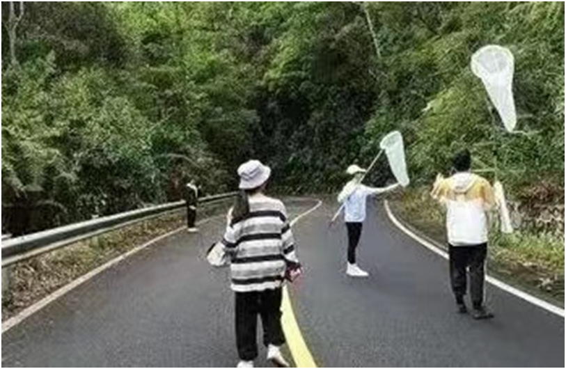 1654851577855813.png image.png