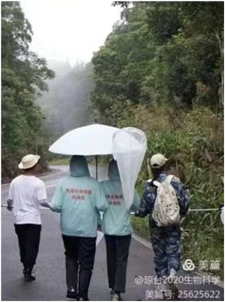 1654850282477579.png image.png