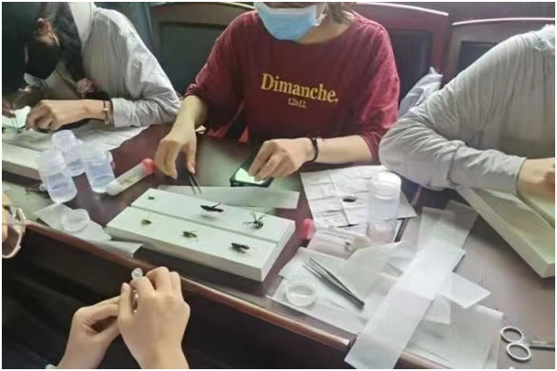 1654850202838977.png image.png