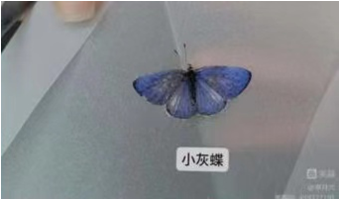 1654851726847430.png image.png