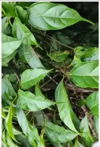 1655026994253482.png image.png