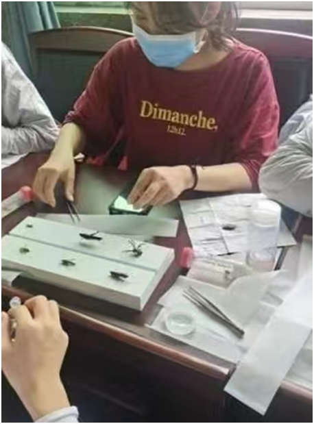 1654850264124034.png image.png
