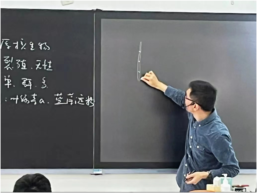 1649495082995184.png image.png