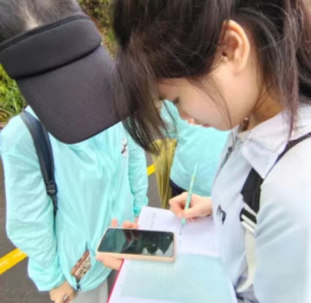 1655026635709051.png image.png